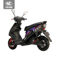 fat tire 10inch eu sharing electric scooter
